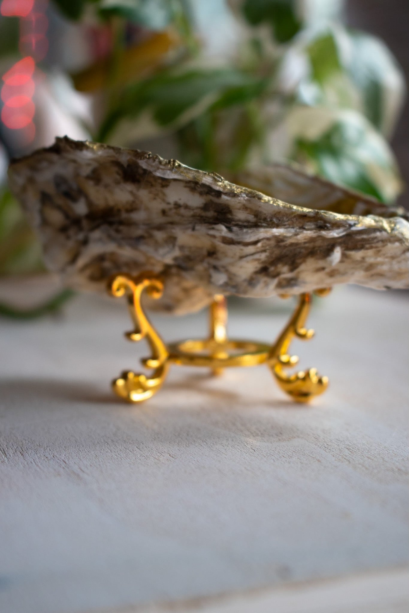 Claw Foot Oyster Dish 008