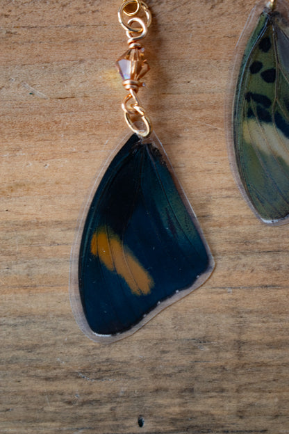 Euphaedra Verso Blue/ Green