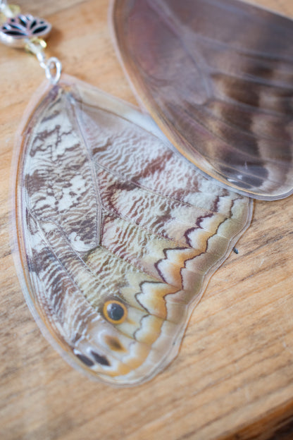 Owl Butterfly Earrings