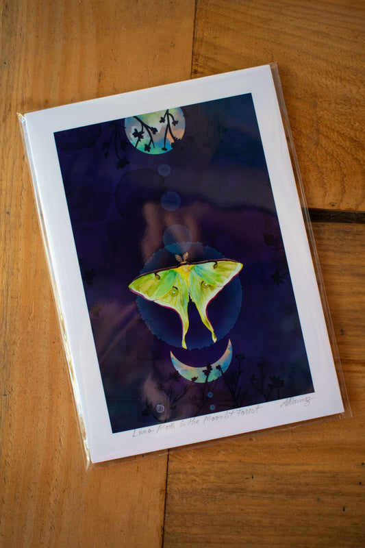 Moth Art Print 5x7 Unframed 002
