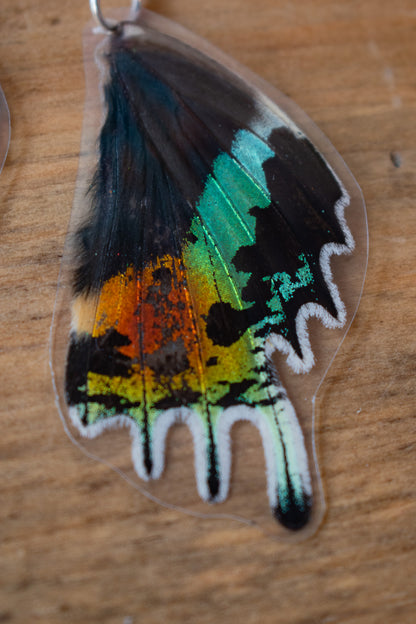 Sunset Moth Earrings