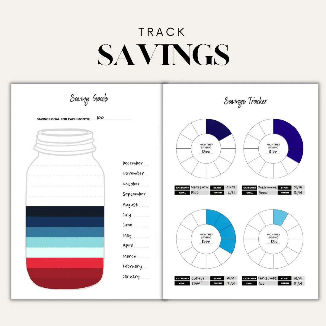 Abundance Budget Journal