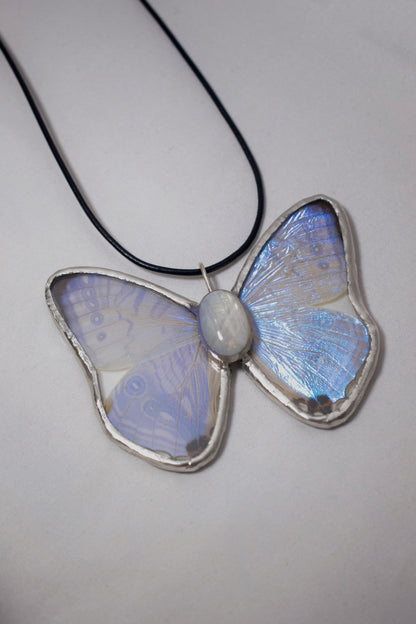 Morpho Sulkowskyi with Moonstone