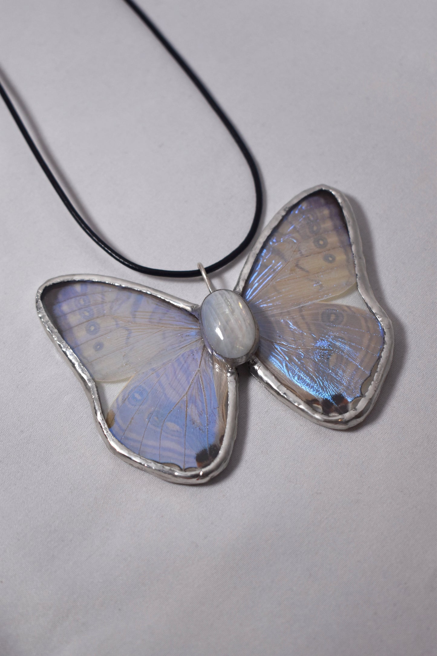 Morpho Sulkowskyi with Moonstone