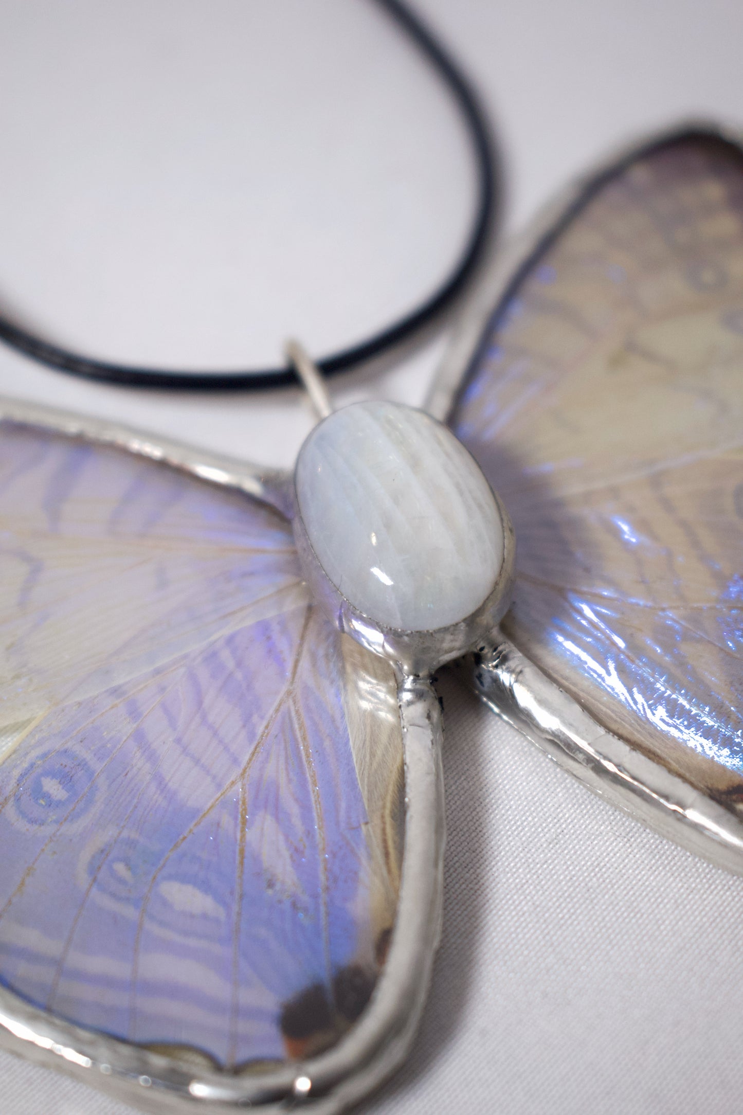 Morpho Sulkowskyi with Moonstone