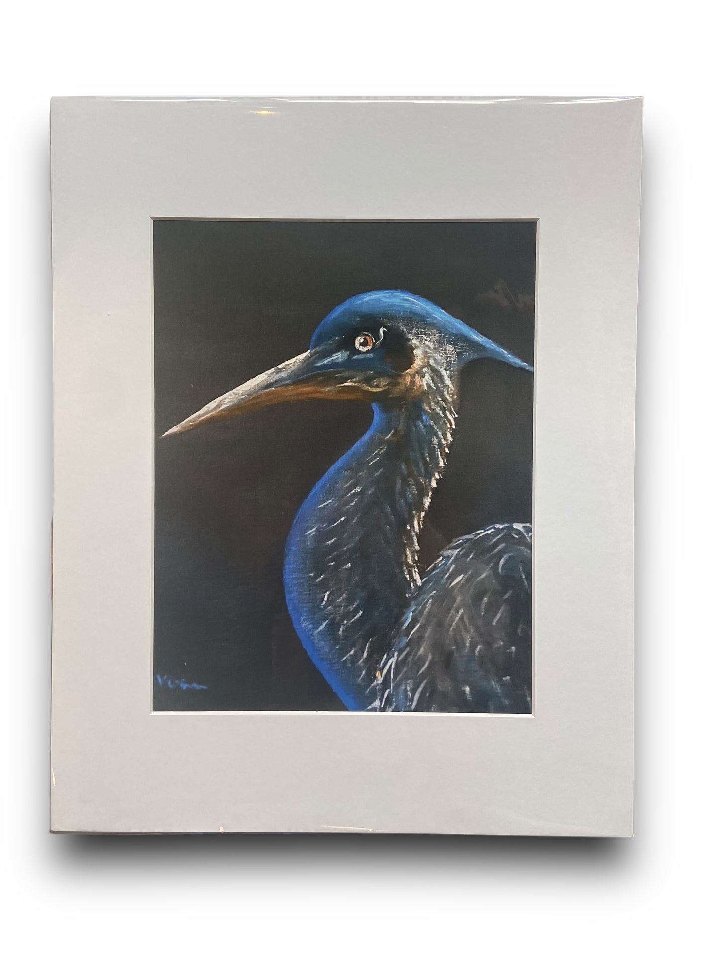 Blue heron 8x10 Matte Print