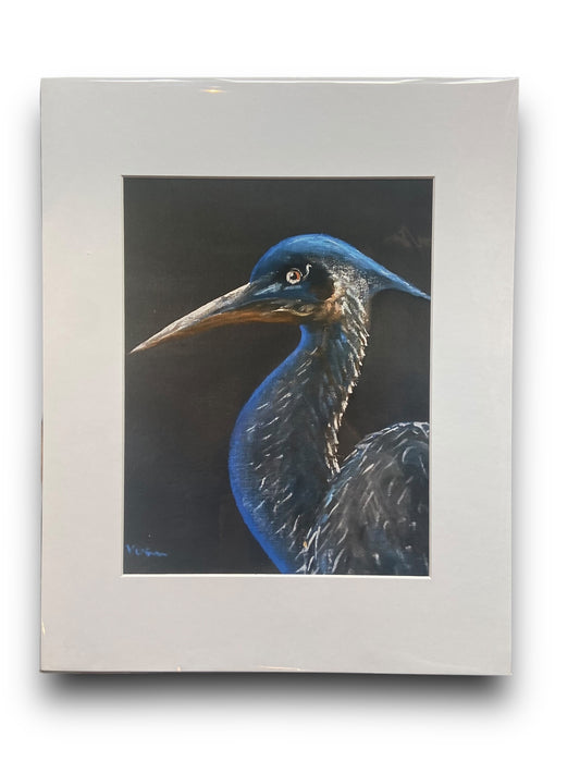 Blue heron 11x14 Matte Print