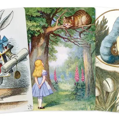 Alice in Wonderland Set of 3 Midi Notebooks