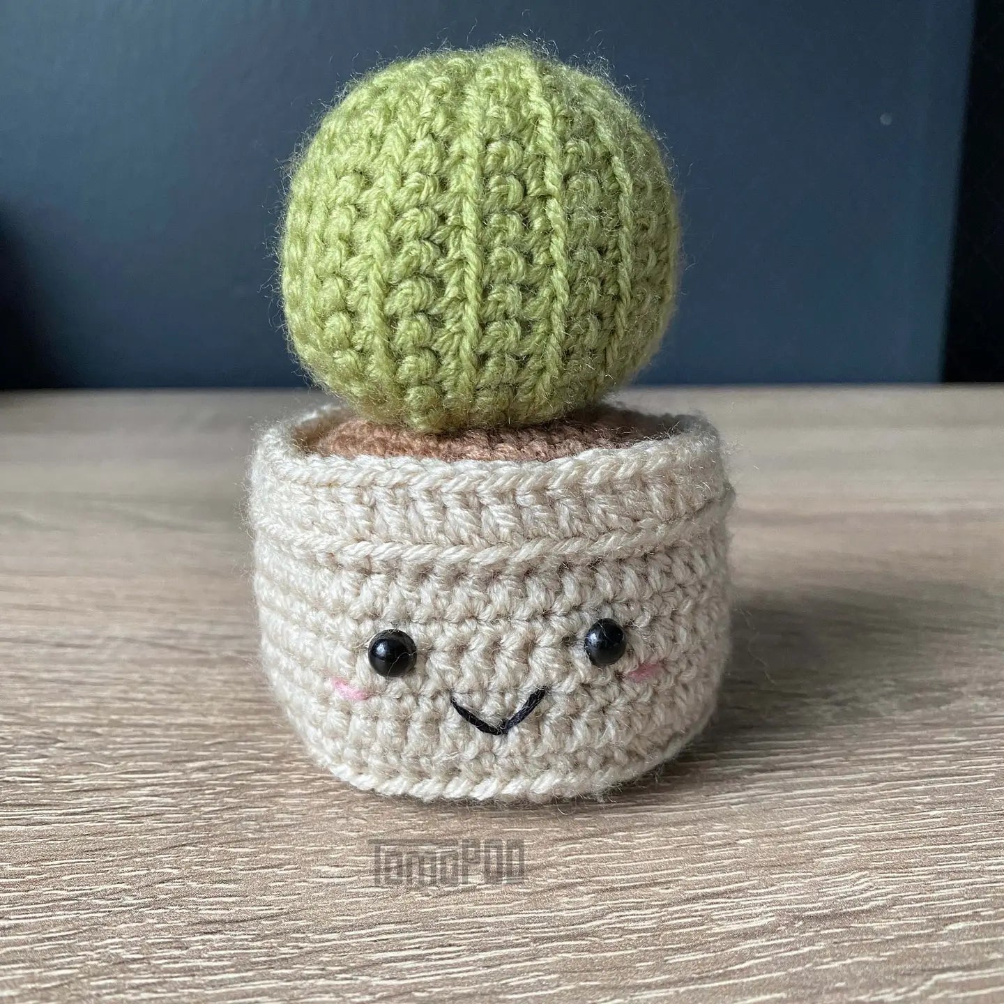 Crochet Cactus